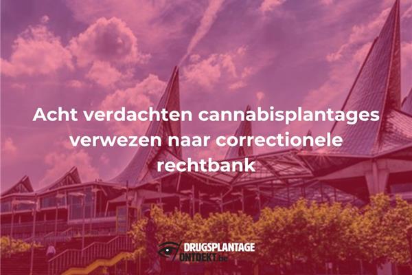Antwerpen - Acht verdachten cannabisplantages verwezen naar correctionele rechtbank